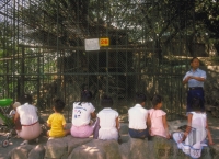 臺灣大建設時期的發展與轉折＞萬獸齊FUN 臺北市立動物園為什麼搬家？＞都市環境影響動物 新址落居木柵